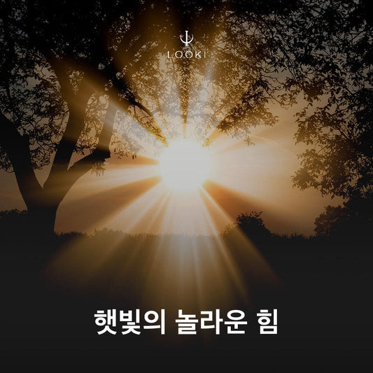 햇빛의 놀라운 힘