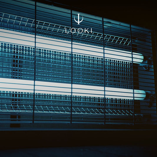 햇빛과 인공 빛의 차이 