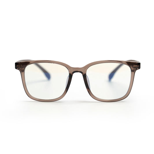 모델로 광주FC2 올데이 렌즈 브라운