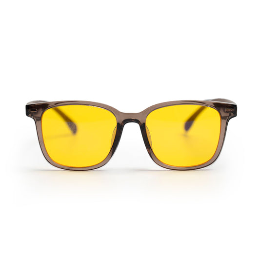 모델로 광주FC2 데이렌즈 브라운